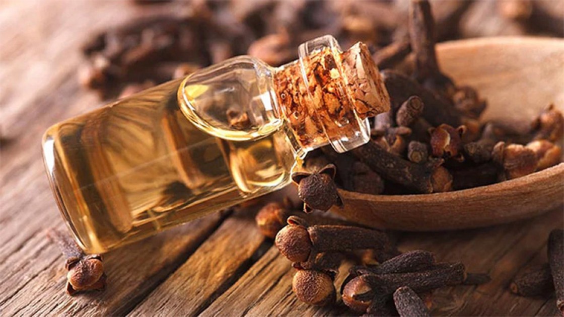 মশার কামড় থেকে বাঁচতে ব্যবহার করুণ লবঙ্গ