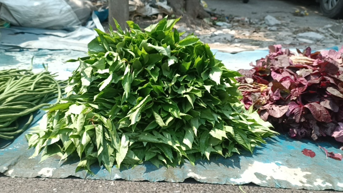 জেনে নিন, কোন শাক কেন খাবেন?