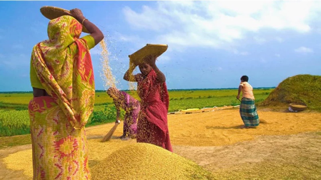 হেমন্ত এলো