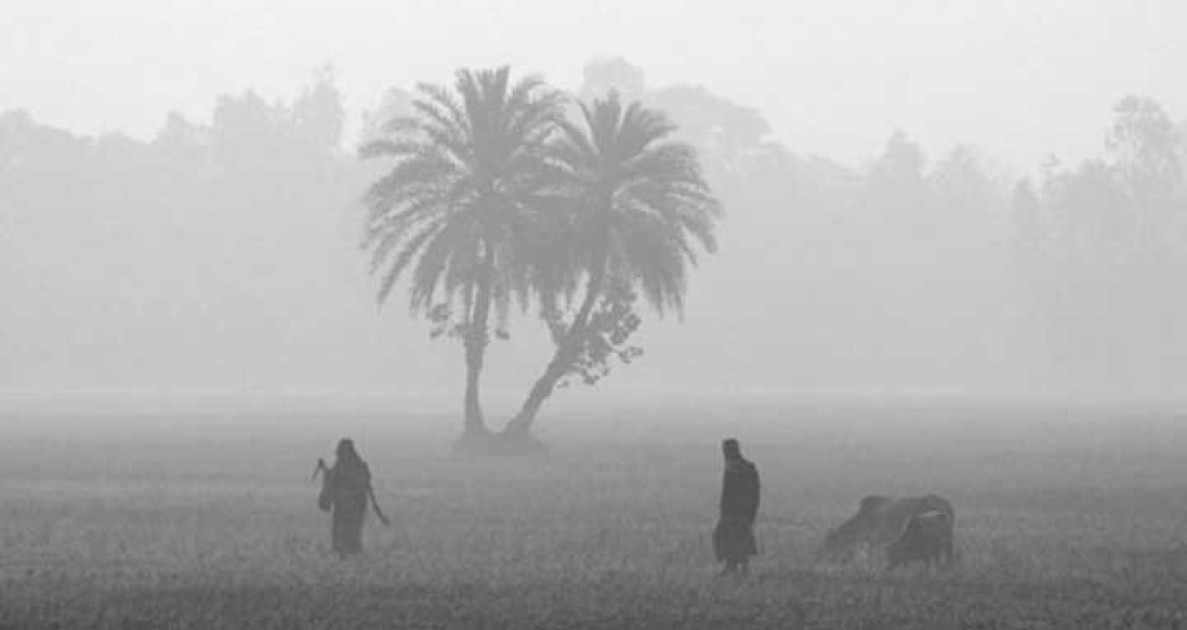বাড়বে শীতের তীব্রতা, আসছে শৈত্যপ্রবাহ